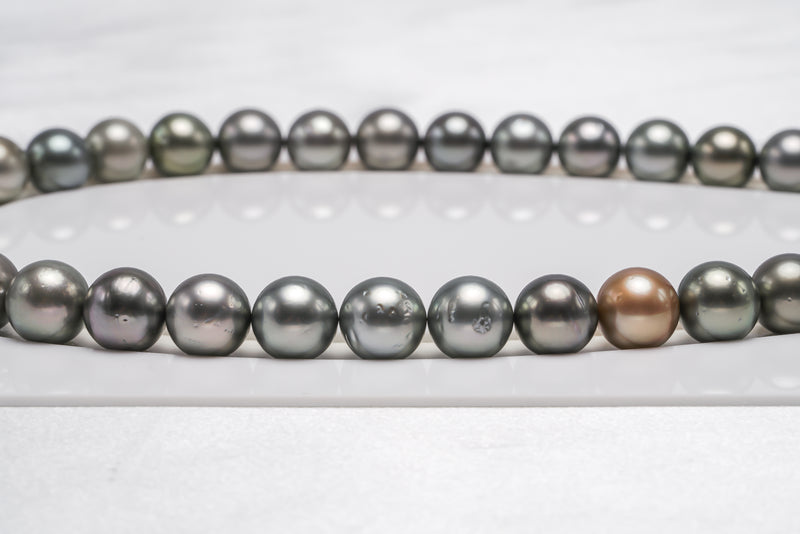 Tahitian Pearls 