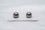 Green Blue Matched Pair - Round 9mm AAA quality Tahitian Pearl - Loose Pearl jewelry wholesale