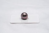 Brown Single Pearl - Semi-Round 12.5mm TOP quality Tahitian Pearl - Loose Pearl jewelry wholesale