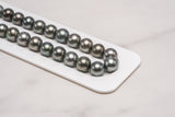 Tahitian Pearls 