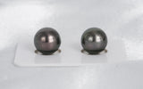 Dark Matched Pair - Round 12mm AAA/AA quality Tahitian Pearl - Loose Pearl jewelry wholesale