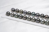Tahitian Pearls 