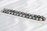 29pcs "Palm" Mix Necklace - Circle 10-12mm AAA/AA quality Tahitian Pearl - Loose Pearl jewelry wholesale
