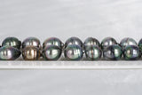 29pcs "Palm" Mix Necklace - Circle 10-12mm AAA/AA quality Tahitian Pearl - Loose Pearl jewelry wholesale