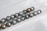 29pcs "Palm" Mix Necklace - Circle 10-12mm AAA/AA quality Tahitian Pearl - Loose Pearl jewelry wholesale