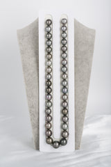 37pcs "Locked" Dark Grey Necklace - Round 11-13mm AA quality Tahitian Pearl - Loose Pearl jewelry wholesale