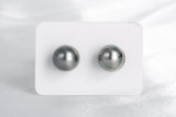 Grey Matched Pair - Round 12mm AAA quality Tahitian Pearl - Loose Pearl jewelry wholesale