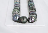 33pcs Peacock Green Necklace - Circle 11-12mm AAA/AA quality Tahitian Pearl - Loose Pearl jewelry wholesale