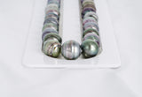 37pcs "Liberty" Mix Color Necklace - Circle 9-13mm AAA/AA quality Tahitian Pearl - Loose Pearl jewelry wholesale
