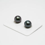 2pcs "TOP LUSTER" Purple Blue 10.6-10.7mm - RSR AAA Quality Tahitian Pearl Pair ER1190 A86