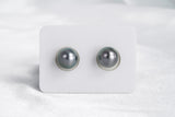 Silver Blue Matched Pair - Round 10mm AAA quality Tahitian Pearl - Loose Pearl jewelry wholesale