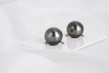 Dark Matched Pair - Round 11mm TOP/AAA quality Tahitian Pearl - Loose Pearl jewelry wholesale