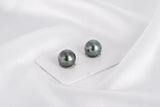 Green Matched Pair - Round 11mm TOP/AAA quality Tahitian Pearl - Loose Pearl jewelry wholesale