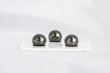 Dark Trio Set - R/SR 11mm AAA/AA quality Tahitian Pearl - Loose Pearl jewelry wholesale