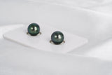 Green Matched Pair - Semi-Round 8.8mm AAA/AA quality Tahitian Pearl - Loose Pearl jewelry wholesale