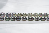 38pcs "Bell" Dark Mix Necklace - Semi-Baroque/Circle 8-10mm AAA/AA quality Tahitian Pearl - Loose Pearl jewelry wholesale
