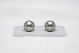 Grey Matched Pair - Round 10mm AAA/AA quality Tahitian Pearl - Loose Pearl jewelry wholesale