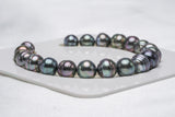 20pcs "ADM" Mix Bracelet - Circle 9-10mm AAA/AAquality Tahitian Pearl - Loose Pearl jewelry wholesale