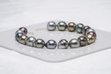 18pcs "Cutes" Mix Bracelet - Circle 8mm AAA/AA quality Tahitian Pearl - Loose Pearl jewelry wholesale