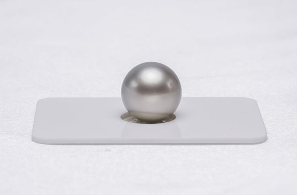 Light Grey Single Pearl - Semi-Round 13.3mm AAA quality Tahitian Pearl - Loose Pearl jewelry wholesale