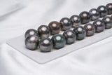 31pcs "Big Bird" Dark Mix Necklace - Semi-Baroque/Near-Round 13-14mm A quality Tahitian Pearl - Loose Pearl jewelry wholesale