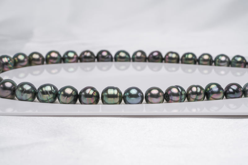 42pcs "Build Me Up" Green Necklace - Circle 8-11mm AAA/AA/A quality Tahitian Pearl - Loose Pearl jewelry wholesale
