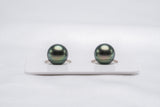 Peacock Green Matched Pair - Semi-Round 9.6mm AAA/AA quality Tahitian Pearl - Loose Pearl jewelry wholesale
