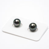 2pcs Peacock 9.8-9.9mm - RSR AA/A Quality Tahitian Pearl Pair ER1108