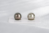 Olive & Yellow Matched Pair - Round/Semi-Round 12mm AA quality Tahitian Pearl - Loose Pearl jewelry wholesale