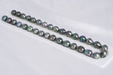 33pcs "Tencha" Peacock Green Necklace - Circle 11mm AA quality Tahitian Pearl - Loose Pearl jewelry wholesale