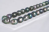 33pcs "Tencha" Peacock Green Necklace - Circle 11mm AA quality Tahitian Pearl - Loose Pearl jewelry wholesale