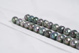 36pcs "Matcha" Peacock Green Necklace - Circle 11-12mm AA quality Tahitian Pearl - Loose Pearl jewelry wholesale