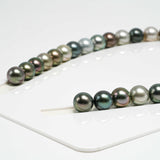36pcs Multicolor 11mm - RSR AAA/AA Quality Tahitian Pearl Necklace NL1313