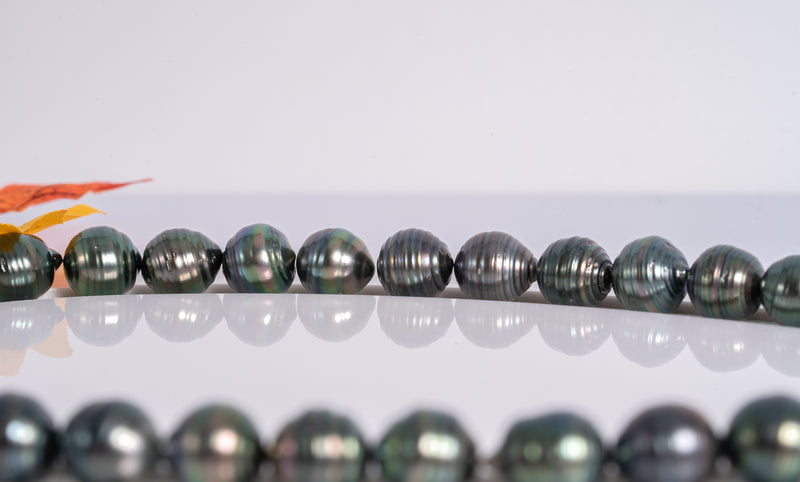 41pcs "Marua" Dark Green Purple Color Necklace - Circle 10-12mm AA quality Tahitian Pearl - Loose Pearl jewelry wholesale