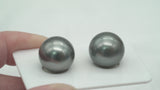 2pcs Grey Matched Pair - Round/Semi-Round 14mm AAA quality Tahitian Pearl LP589