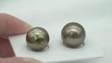 Bronze Pair - CL/SB 13-14mm AA quality Tahitian Pearl