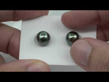 Blue Green Matched Pair - Semi-Round 9mm AAA quality Tahitian Pearl ER590