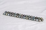 33pcs "Tornade" Mix Necklace - Circle 11mm AAA/AA quality Tahitian Pearl - Loose Pearl jewelry wholesale