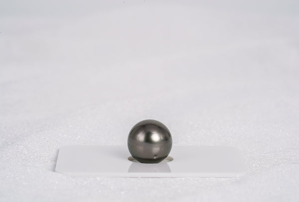 Brown Single Pearl - Round 12.1mm AAA quality Tahitian Pearl - Loose Pearl jewelry wholesale