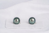 Green Matched Pair - SB/Drop 9mm AAA/AA quality Tahitian Pearl - Loose Pearl jewelry wholesale