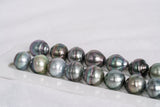 33pcs "Tornade" Mix Necklace - Circle 11mm AAA/AA quality Tahitian Pearl - Loose Pearl jewelry wholesale