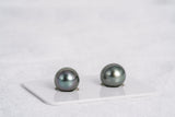 Grey Green Cherry Matched Pair - Oval 10mm TOP quality Tahitian Pearl - Loose Pearl jewelry wholesale