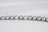 46pcs "Snow White" Light Grey Necklace - Semi-Round 8-11mm AA/AAA quality Tahitian Pearl - Loose Pearl jewelry wholesale