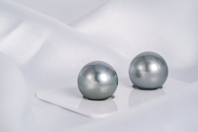 Gray Color Matched Pair - Semi-Round 13mm AAA quality Tahitian Pearl Earrings - Loose Pearl jewelry wholesale