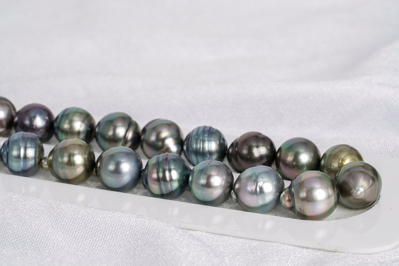 33pcs "Tornade" Mix Necklace - Circle 11mm AAA/AA quality Tahitian Pearl - Loose Pearl jewelry wholesale