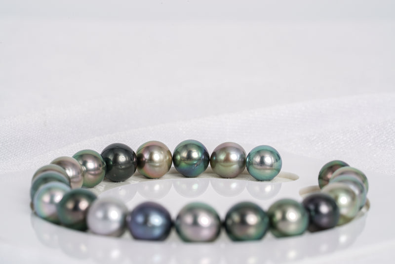 21pcs "Artemis" Multi Bracelet - Semi-Round 8mm AAA/AA quality Tahitian Pearl - Loose Pearl jewelry wholesale