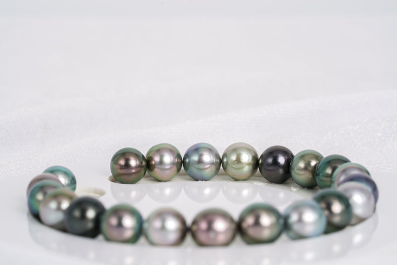 21pcs "Artemis" Multi Bracelet - Semi-Round 8mm AAA/AA quality Tahitian Pearl - Loose Pearl jewelry wholesale