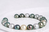 19pcs "Green Charm" Multi Bracelet - Round/Semi-Round 10mm AA quality Tahitian Pearl - Loose Pearl jewelry wholesale