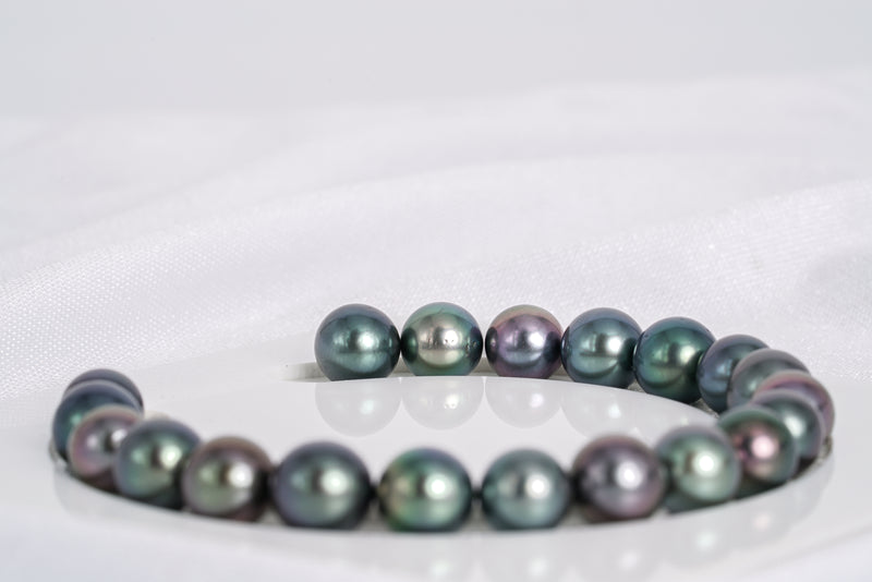 20pcs "Night Fury I" Purple Green Bracelet - R/SR 9mm AA quality Tahitian Pearl - Loose Pearl jewelry wholesale