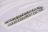 41pcs "Peony" Pastel Necklace - Near-Round 8-10mm AA/AAA quality Tahitian Pearl - Loose Pearl jewelry wholesale
